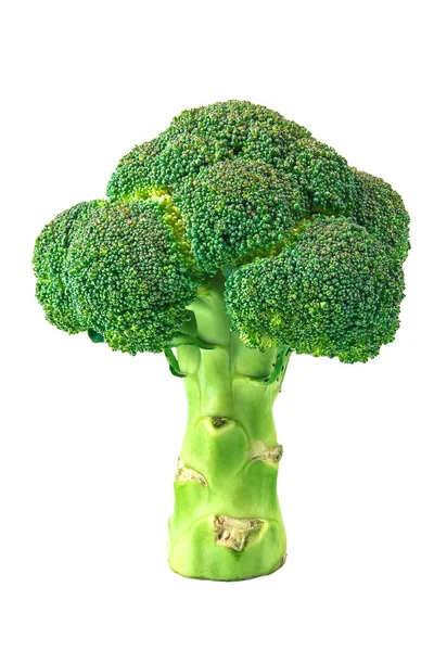 Broccoli Isolated Background Clipping Path — Photo