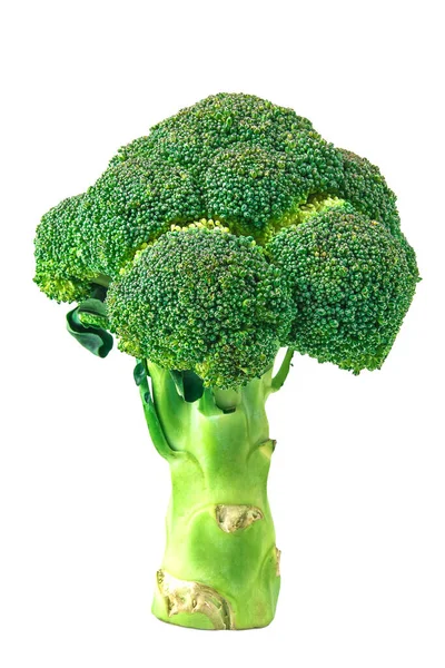 Broccoli Sfondo Isolato Percorso Ritaglio — Foto Stock