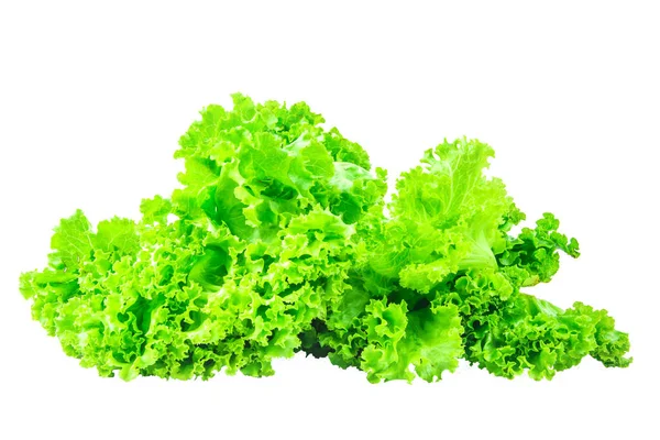 Lettuce Isolated Background Clipping Path — Fotografia de Stock