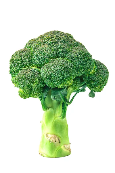 Broccoli Isolated Background Clipping Path — Fotografia de Stock