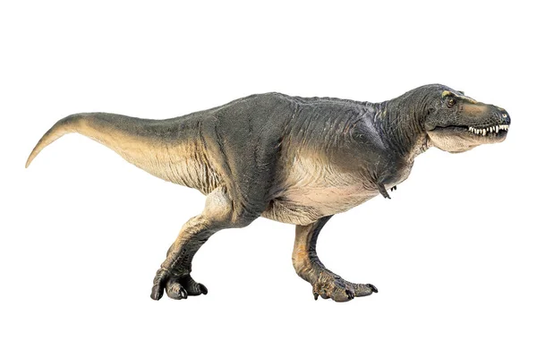 Тарбозавр Динозавр Білому Ізольованому Фоновому Шляху — стокове фото