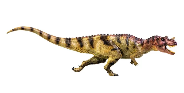Динозавр Цератозавр Белом Изолированном Фоне — стоковое фото