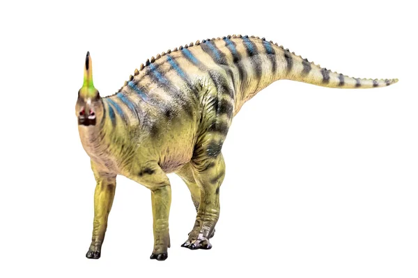Tsintaosaurus Spinorhinus Dinosaur White Isolate Background Clipping Path — Stock Fotó