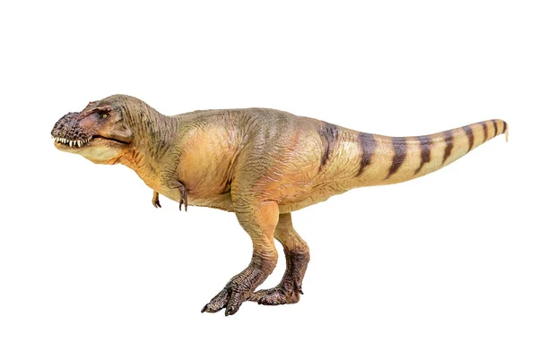 Tyrannosaurus Rex Dinosaur Λευκό Απομονωμένο Φόντο Διαδρομή Αποκοπής — Φωτογραφία Αρχείου