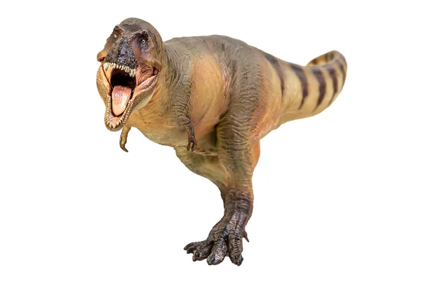 Tyrannosaurus Rex Dinosaur White Isolate Background Clipping Path — Fotografia de Stock