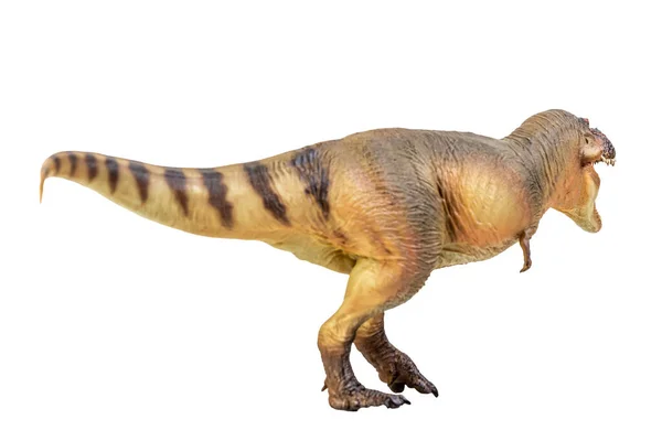 Tyrannosaurus Rex Dinosaur White Isolate Background Clipping Path — Stock fotografie