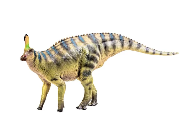 Tsintaosaurus Spinorhinus Δεινόσαυρος Λευκό Απομονωμένο Φόντο Διαδρομή Αποκοπής — Φωτογραφία Αρχείου