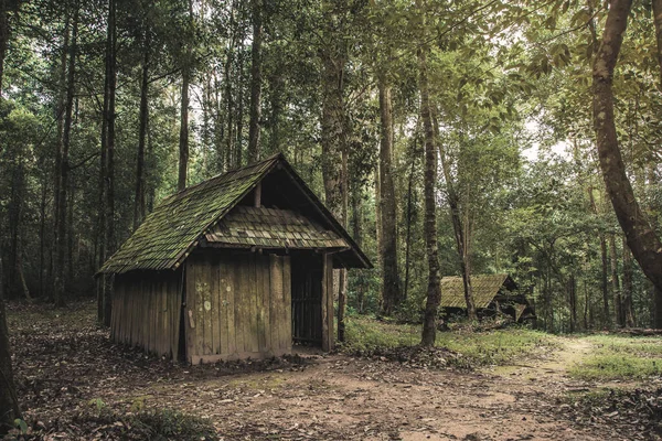 Old wooden cottage in the forest .