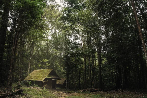 Old wooden cottage in the forest .