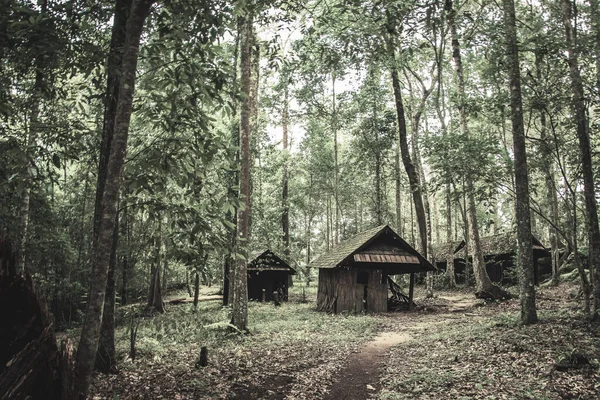 Old wooden cottage in the forest .