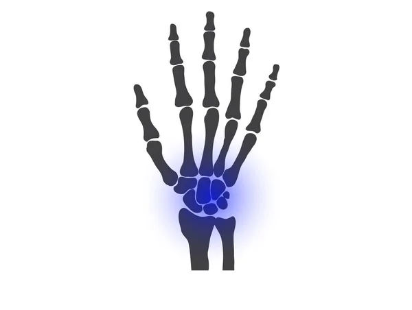 Hand Bones Black White Human Skeleton Bone Hands — Stock Vector