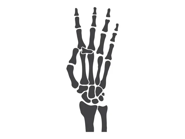 Hand Bones Black White Human Skeleton Bone Hands — Stock Vector