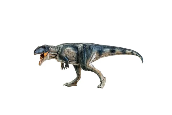 Dinosauro Giganotosaurus Percorso Isolato Ritaglio Sfondo — Foto Stock