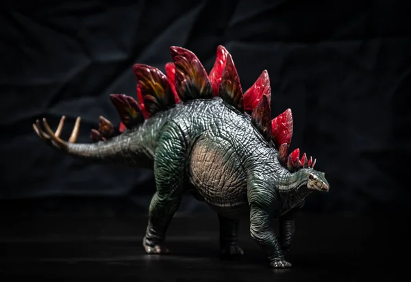 Dinosaurier Stegosaurus Dunkeln — Stockfoto