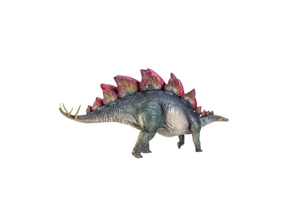Динозавр Стегозавр Ізольований Фоном — стокове фото