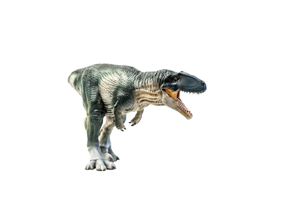 Динозавр Гиганотозавр Изолированном Фоновом Клиппинге — стоковое фото