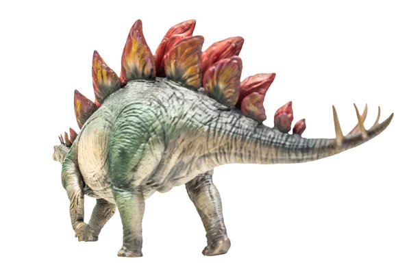 Dinosaurus Stegosaurus Geïsoleerde Achtergrond — Stockfoto