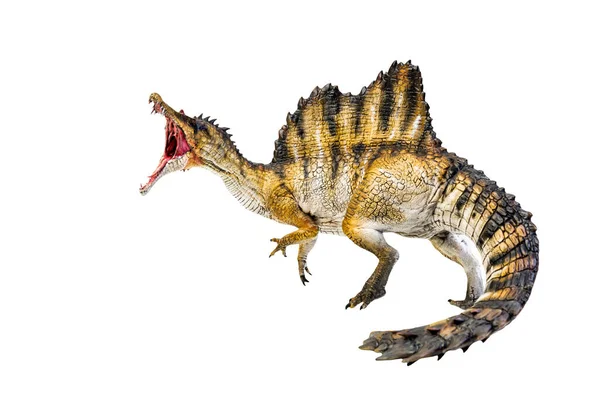 Динозавр Спінозавр Ізольований Фон Відсікаючий Контур — стокове фото