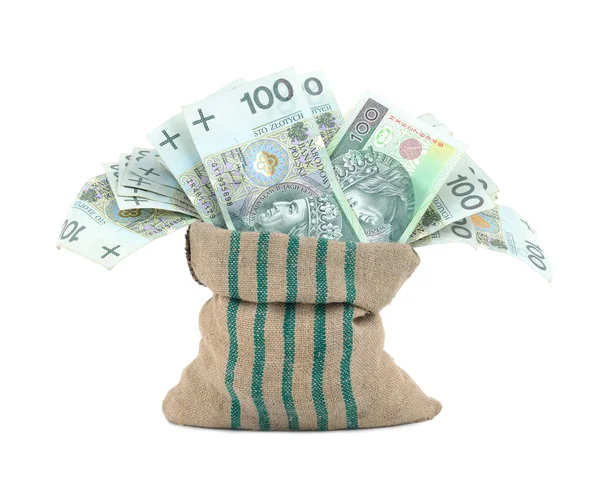 A zsákban elkülönített pénz — Stock Fotó
