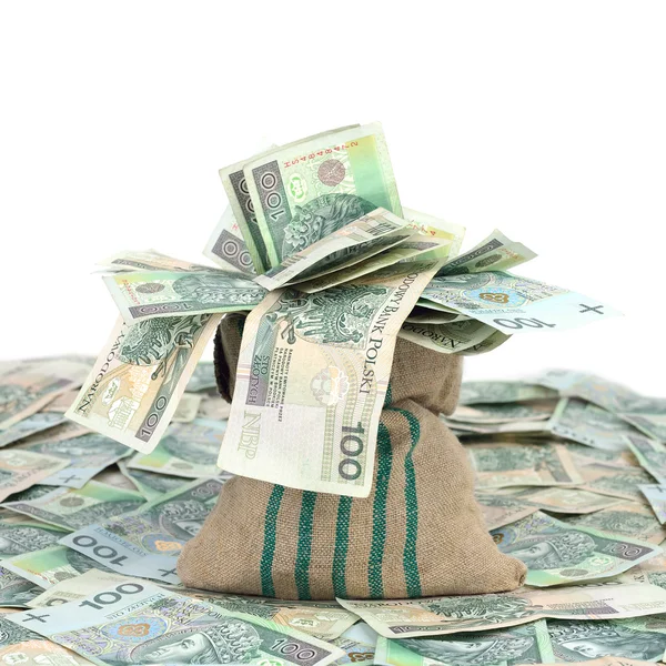 Dinero en la bolsa — Foto de Stock