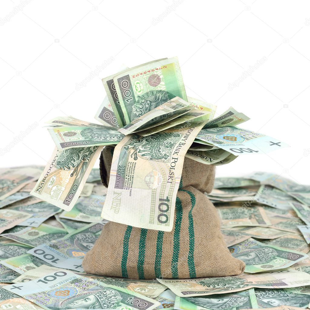 Money in the bag