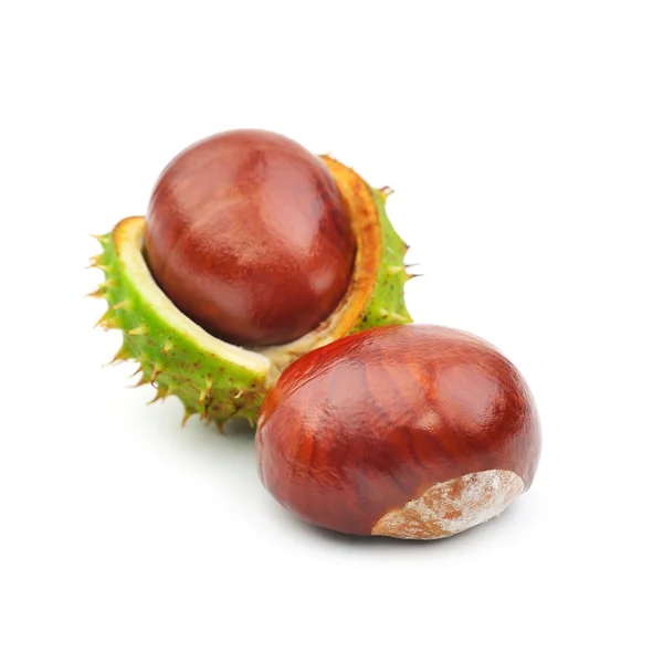 Two chestnuts and crust — Stock Photo, Image