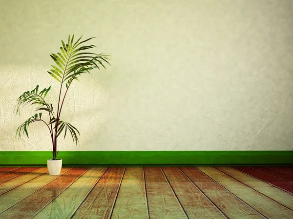 Zielona roślina w pokoju — Zdjęcie stockowe