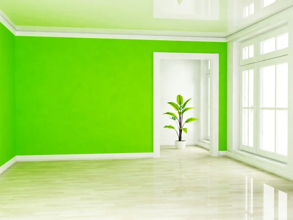 Een groene plant in de lege ruimte in de buurt van een venster — Stockfoto