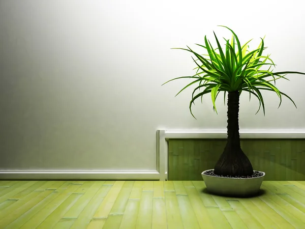 Una bonita palmera en el cuarto oscuro — Foto de Stock