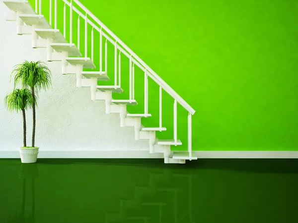 Planta verde bajo las escaleras —  Fotos de Stock