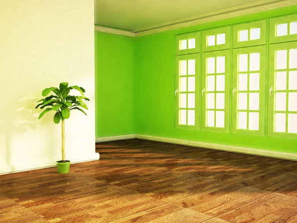 Una planta verde en la habitación — Foto de Stock