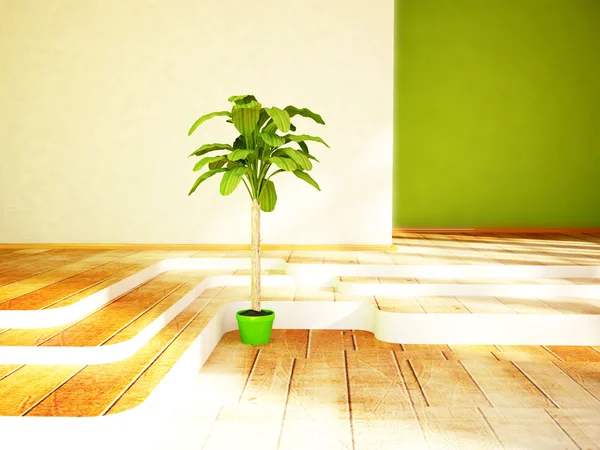 Una planta verde en la habitación — Foto de Stock