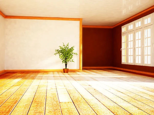 A green plant in the shiny room — Stock Photo, Image