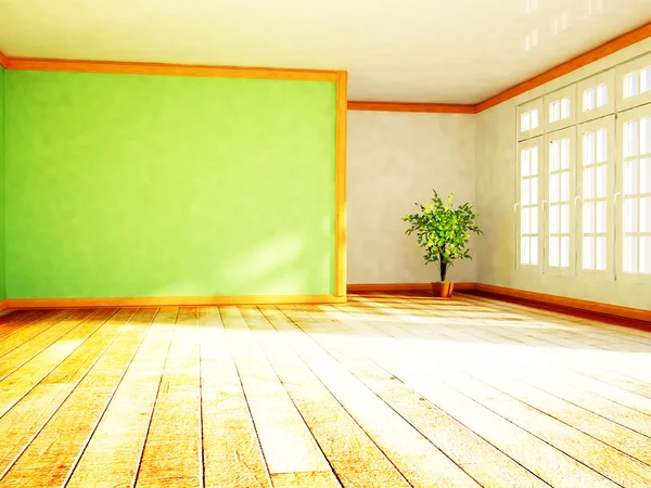 Eine grüne Pflanze im glänzenden Raum — Stockfoto