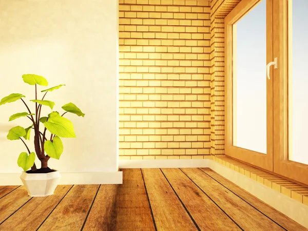 Una planta cerca de la ventana — Foto de Stock