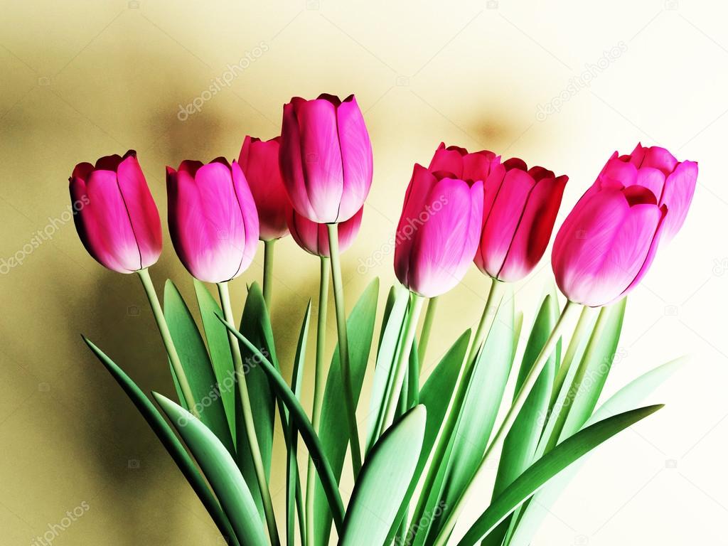 many beautiful tulips