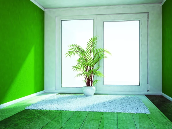 A green plant in the empty room — Stock Photo, Image