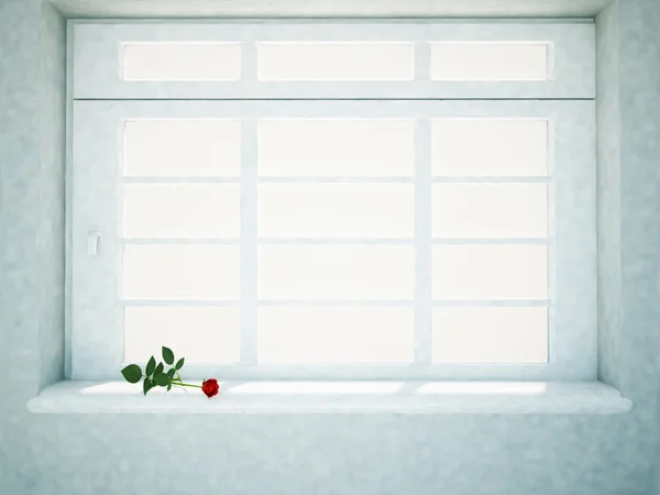 Rose zace pe pervazul ferestrei — Fotografie, imagine de stoc