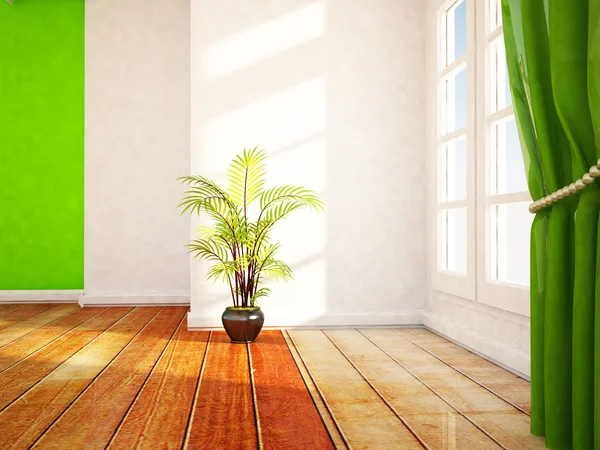 Een venster en de plant — Stockfoto