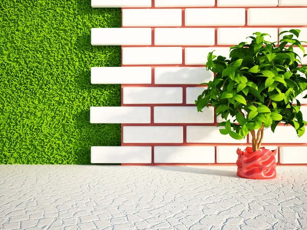 Tree near the brick wall — Stock Photo, Image