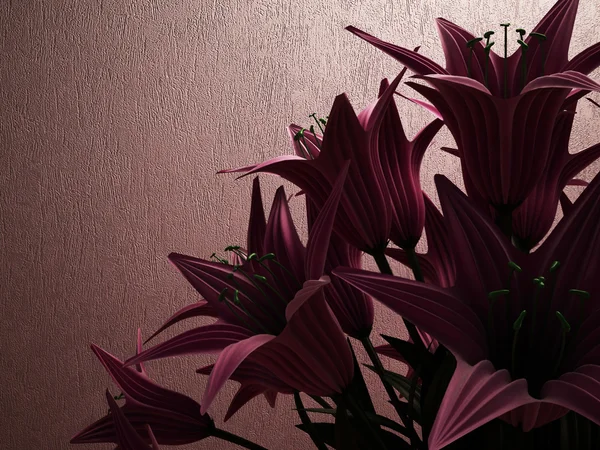 De bloemen in het avondlicht — Stockfoto