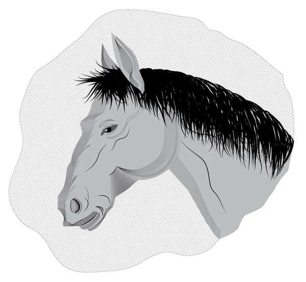 Szary konia — Wektor stockowy
