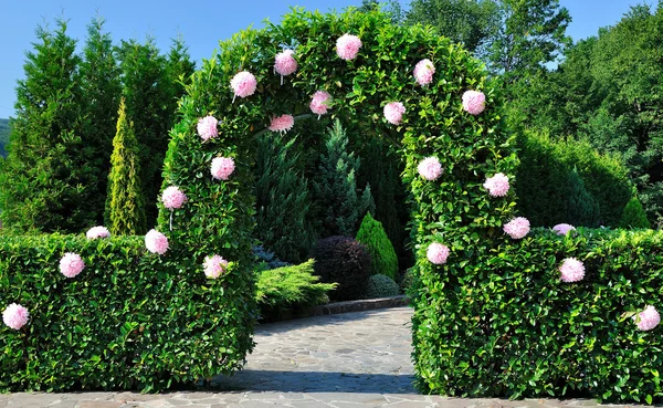 Arch with flowers — Stock Photo, Image