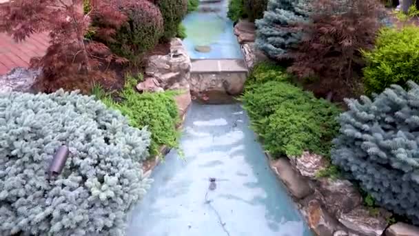 Fountain Beautiful Fountain Garden — Stock Video