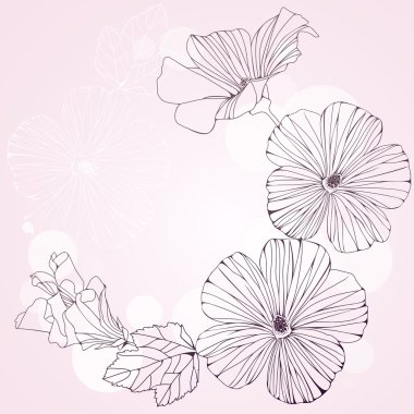 romantik pembe hibiscus çiçek çerçeveli.