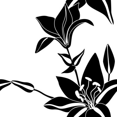 beyaz zemin üzerine dekoratif lily çiçekler silhouettes .