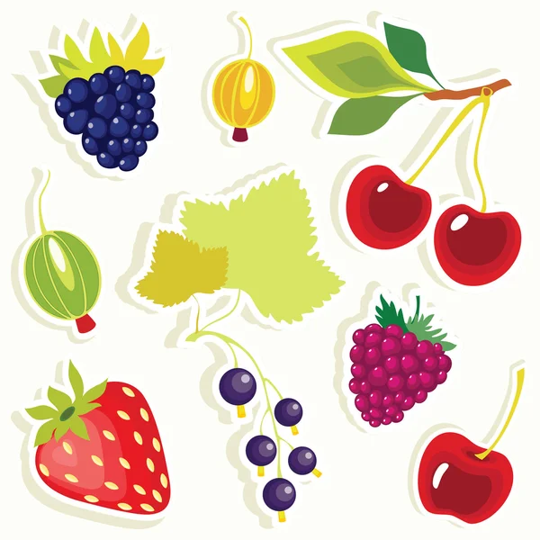 Vector set of decorative berries sticker. — Stock Vector