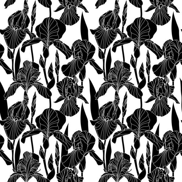 Fleur d'iris noir sur fond blanc . — Image vectorielle