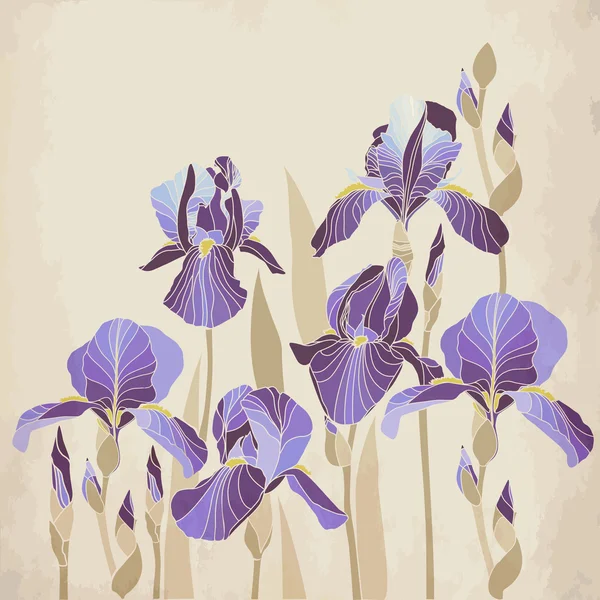 Decoratieve iris bloem op leeftijd achtergrond. — Stockvector