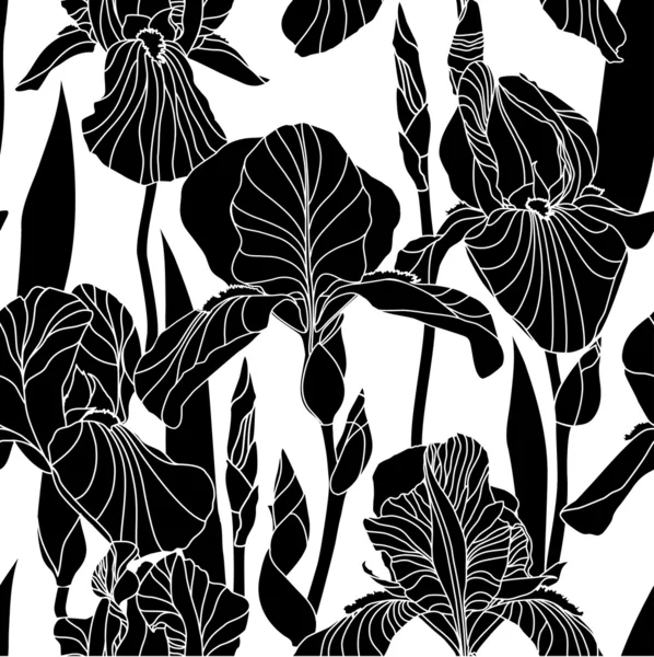 Iris černá květina na bílém pozadí. — Stockový vektor